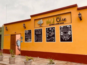 Отель Wild Olive Guest House  Ика